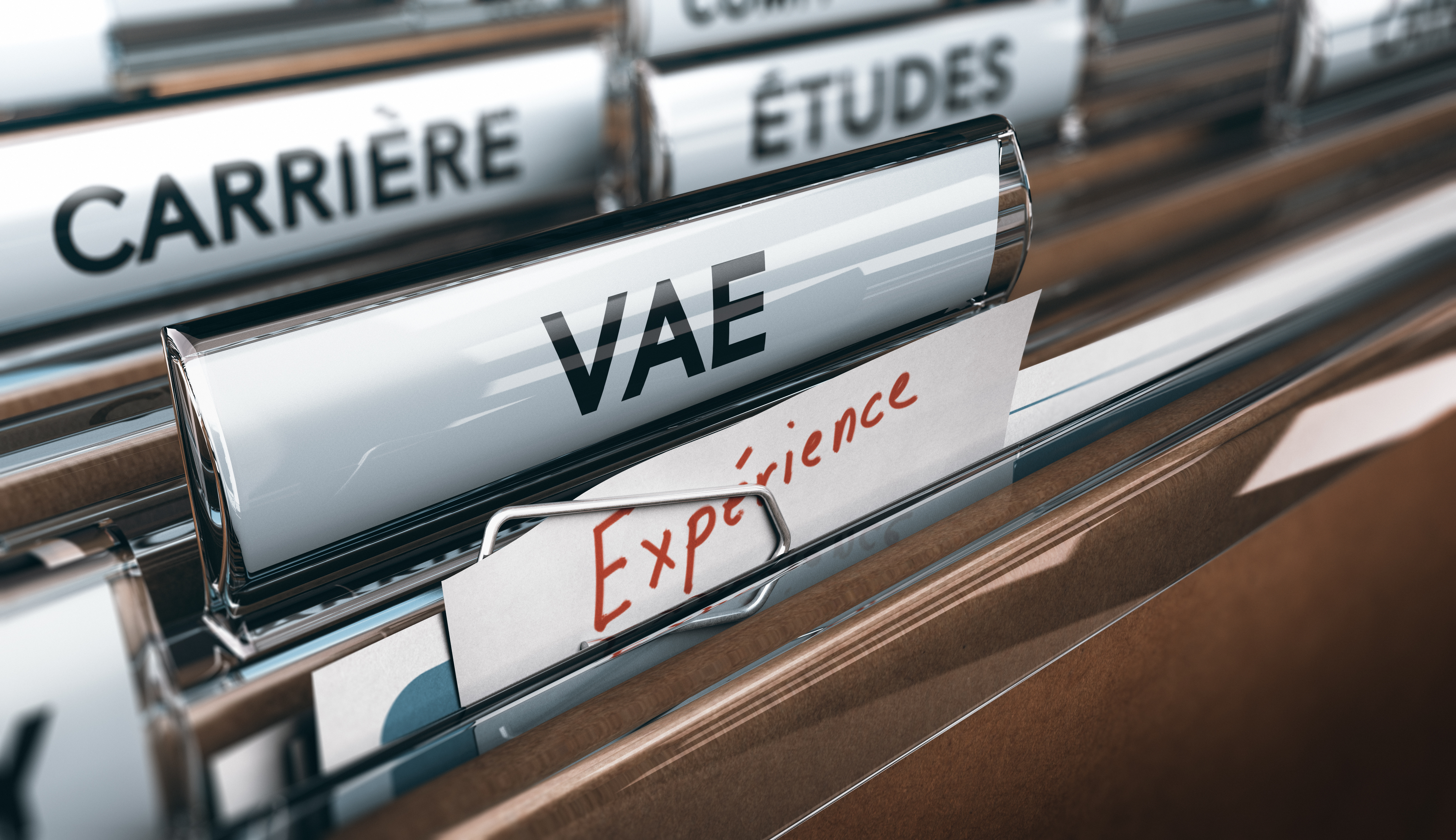 L’accompagnement lors d’une demande de VAE d’auxiliaire de puériculture