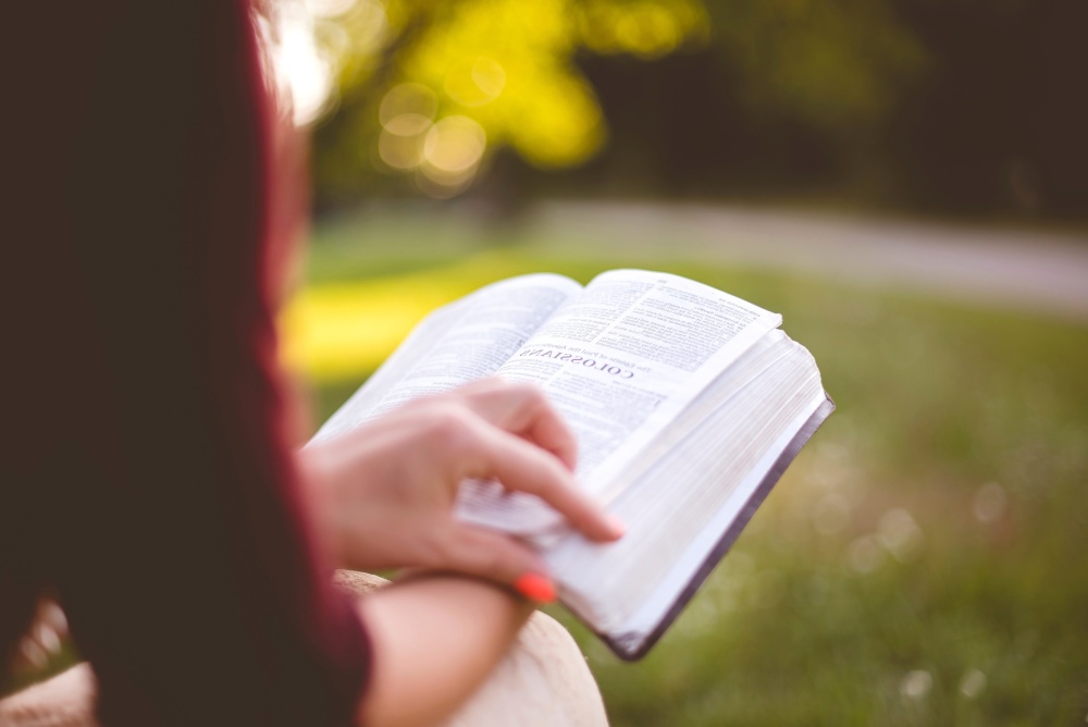 4 idées de lectures pour les professionnels de la petite enfance !