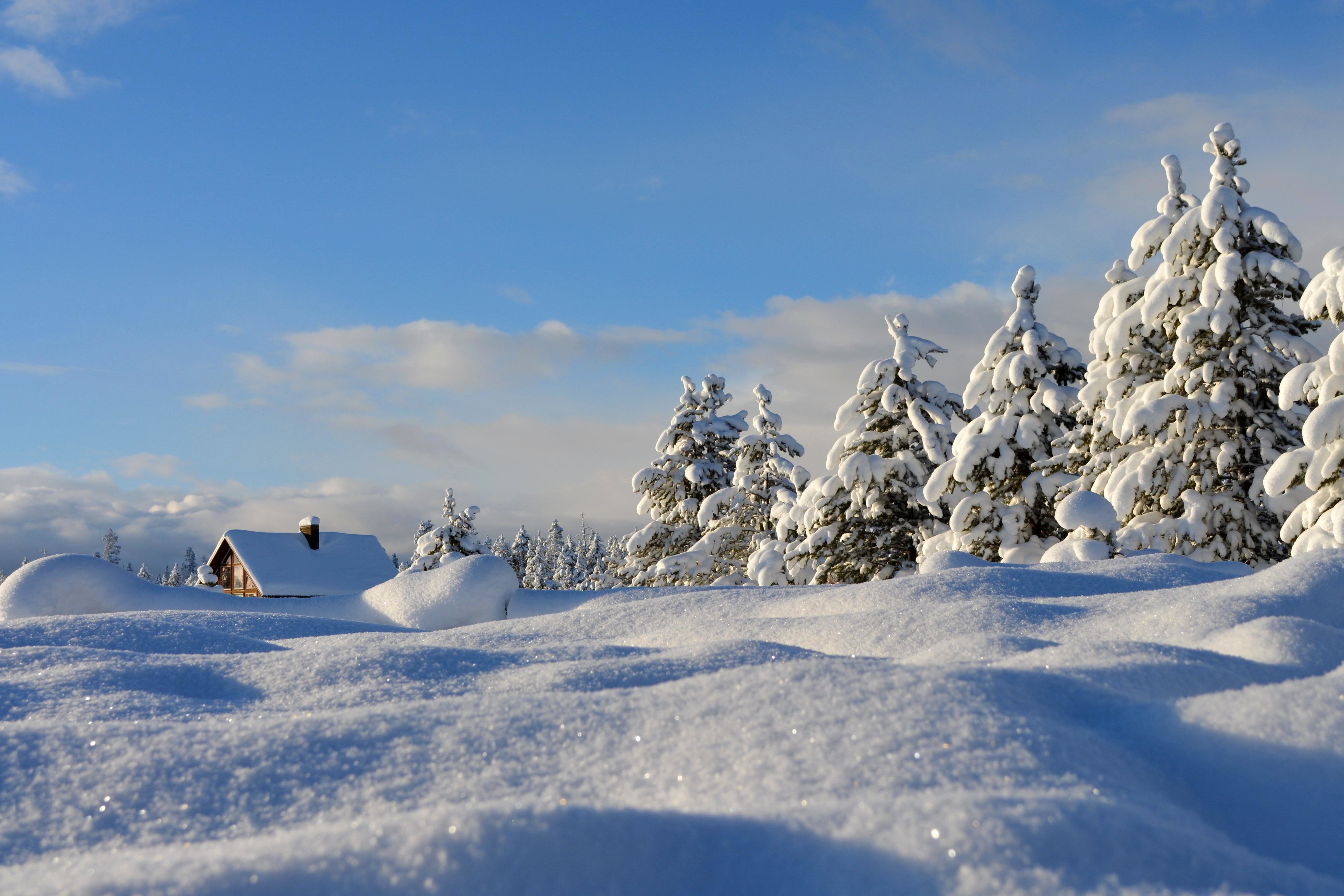 Les crèches dans les pays scandinaves