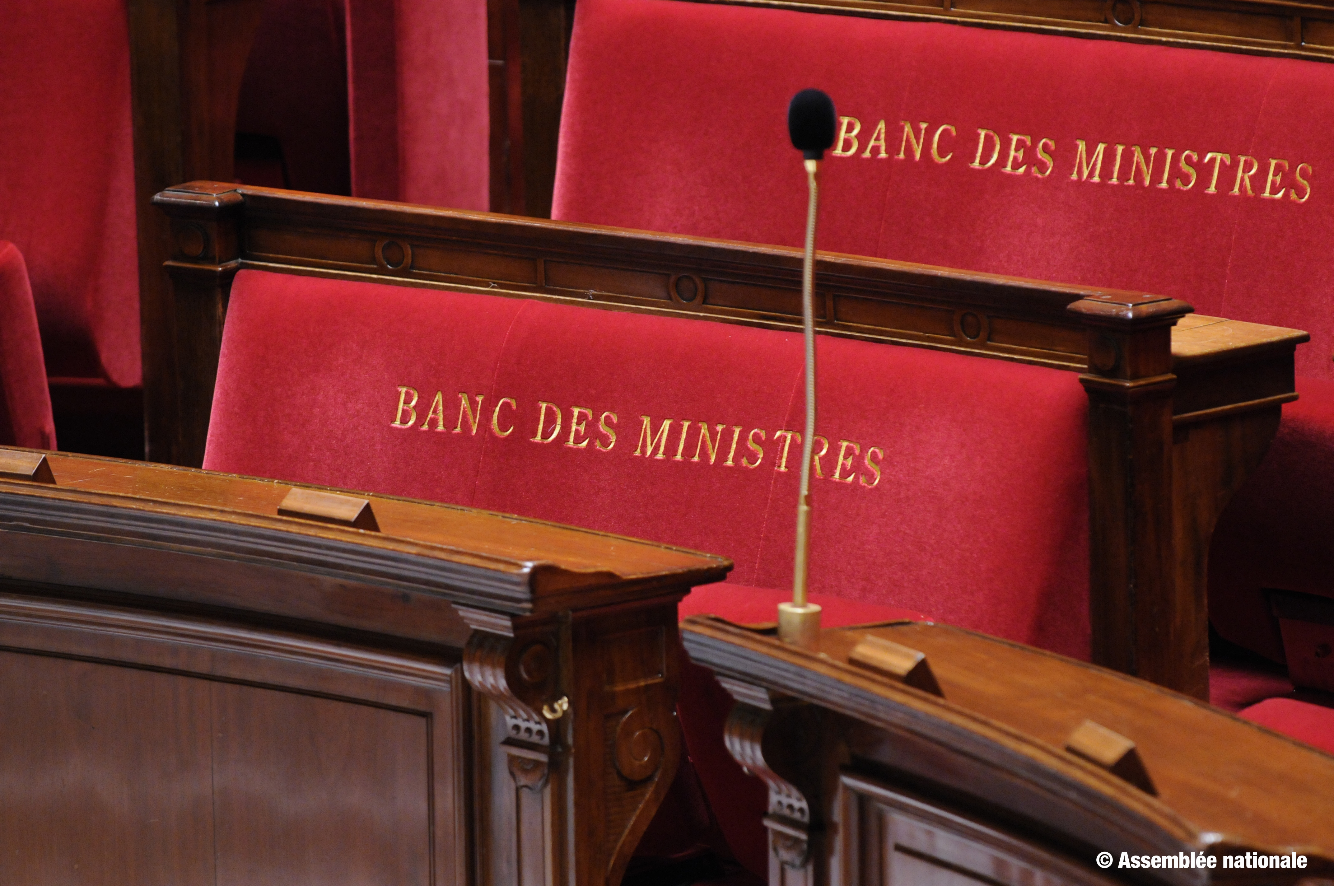 Adoption définitive du projet de Loi sur le plein emploi : Une avancée pour le SPPE