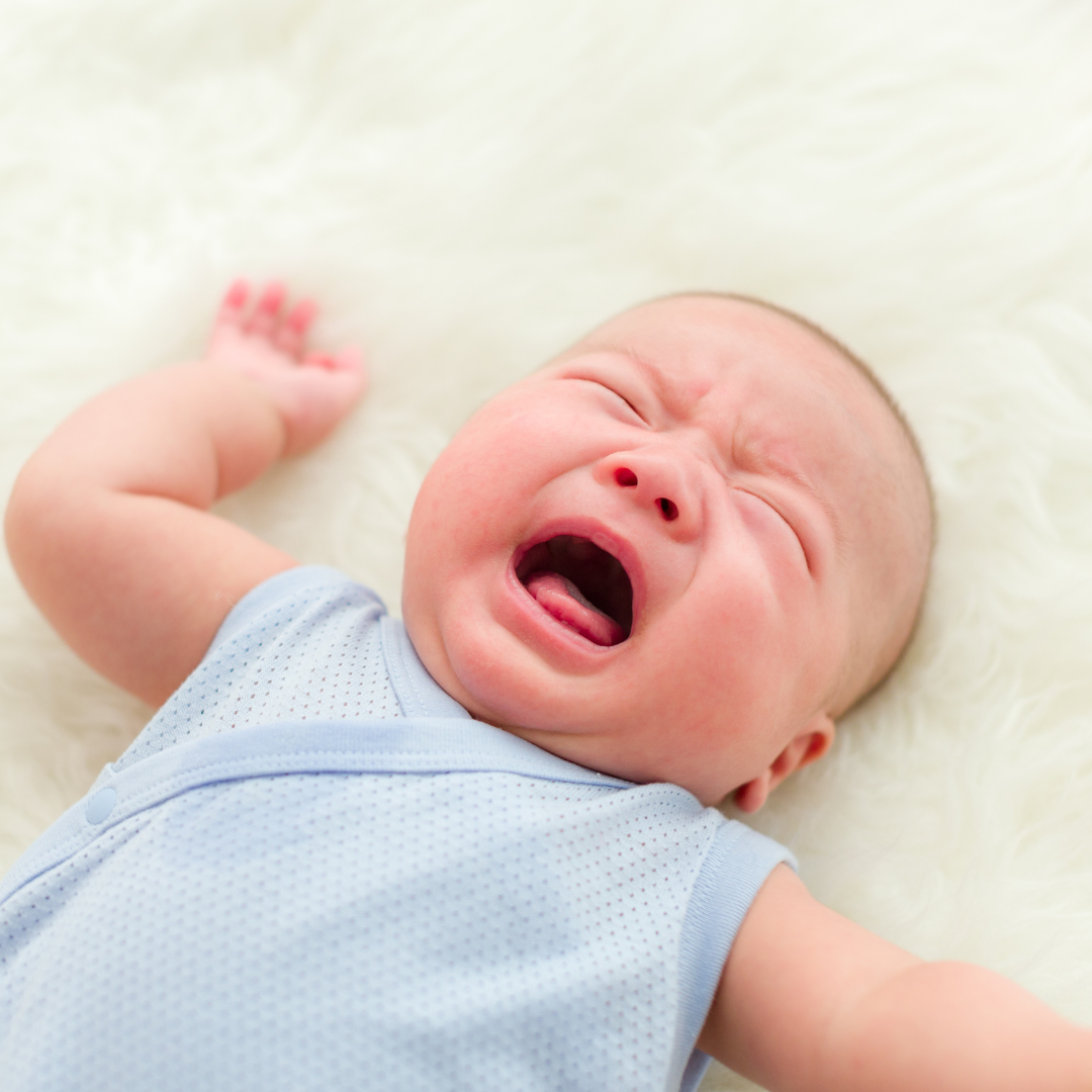 Le bébé hypersensible en structure d'accueil petite enfance